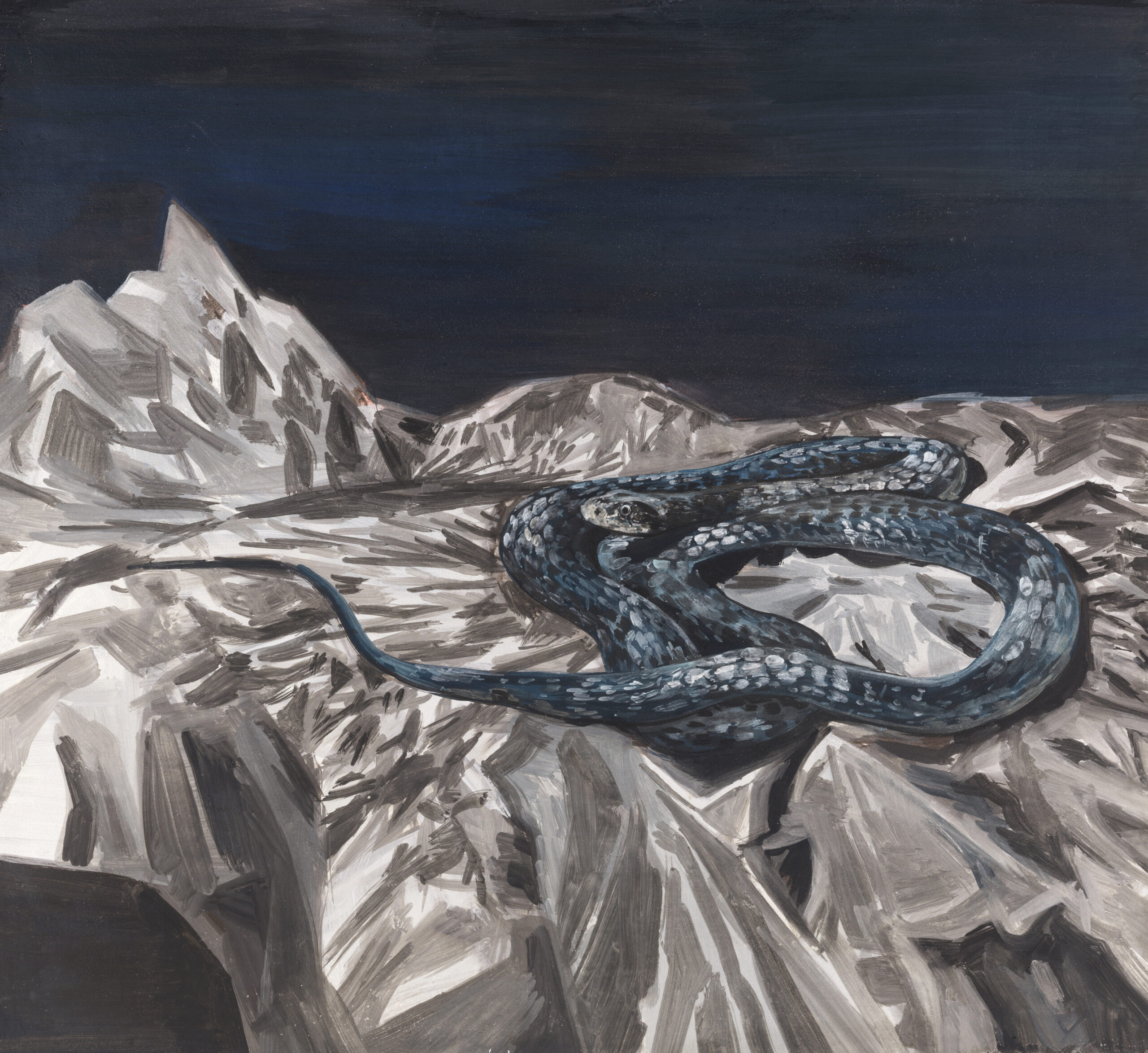 AgneseGaliotto_A-Snake-Reflects-the-Sky