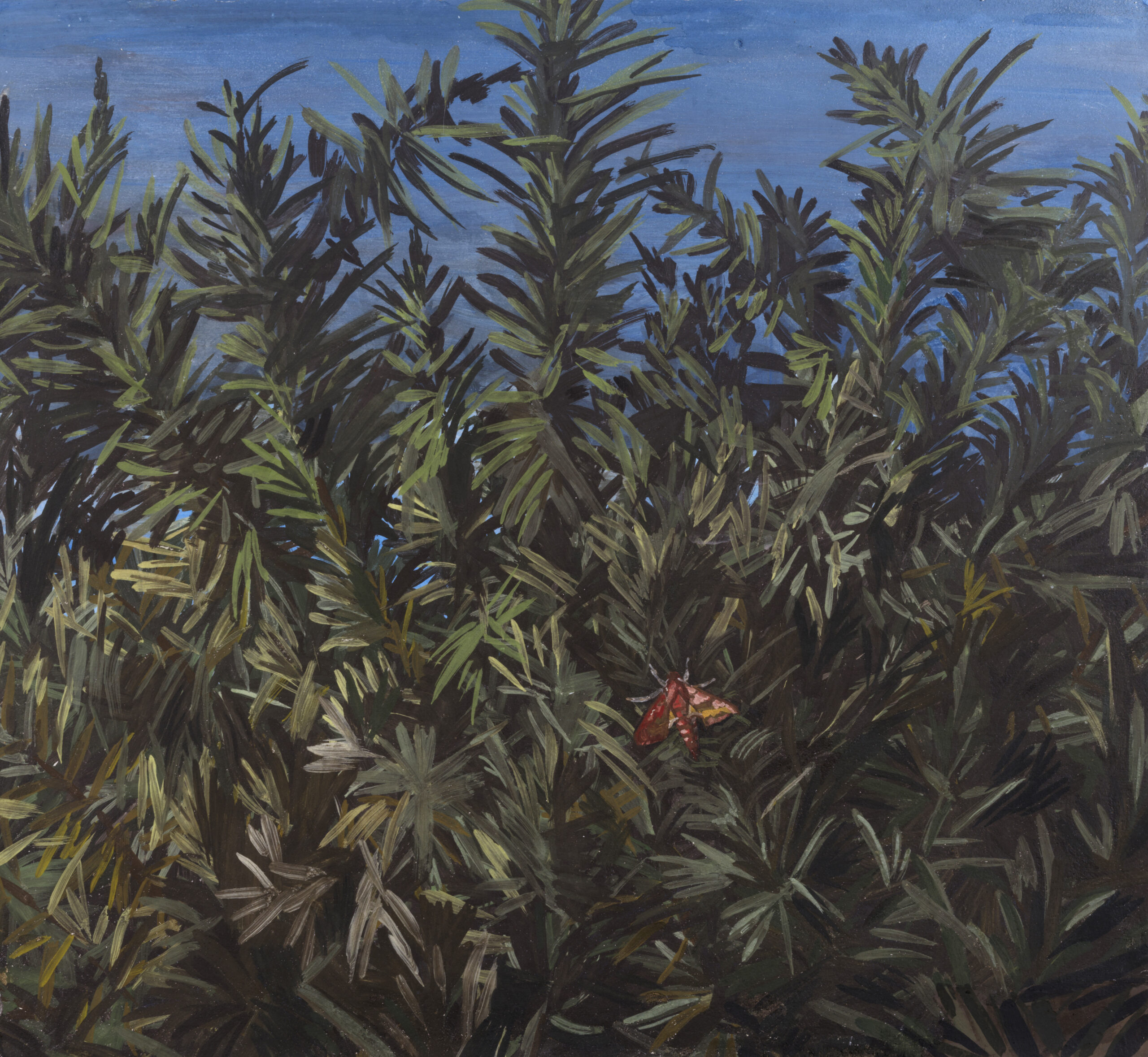 AgneseGaliotto_Horizon