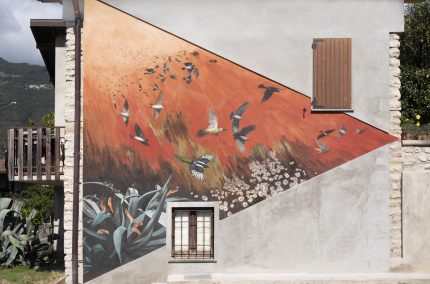 Galiotto_La montagna non esiste_3755_Nicola Gnesi Studio